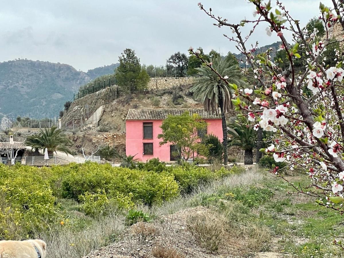Casa Ramoncico. Finca El Campillo Blanca Ngoại thất bức ảnh