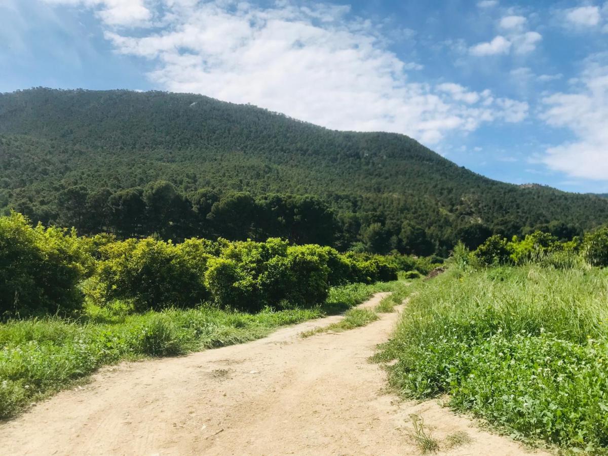 Casa Ramoncico. Finca El Campillo Blanca Ngoại thất bức ảnh
