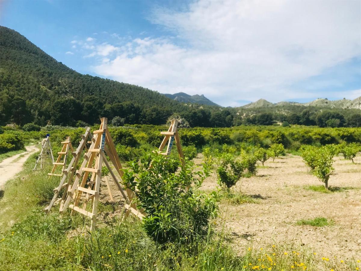 Casa Ramoncico. Finca El Campillo Blanca Ngoại thất bức ảnh