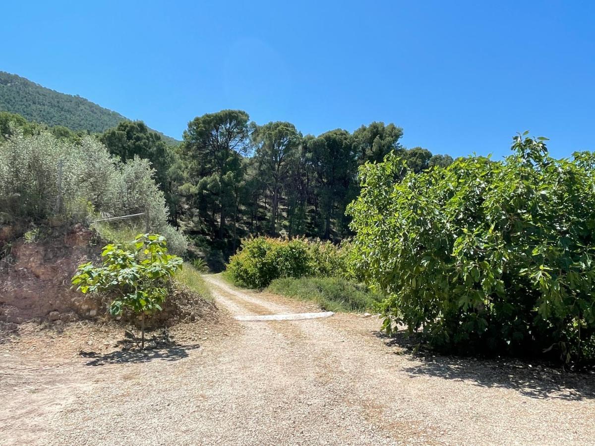 Casa Ramoncico. Finca El Campillo Blanca Ngoại thất bức ảnh